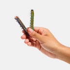 Allie Clips in Caterpillars