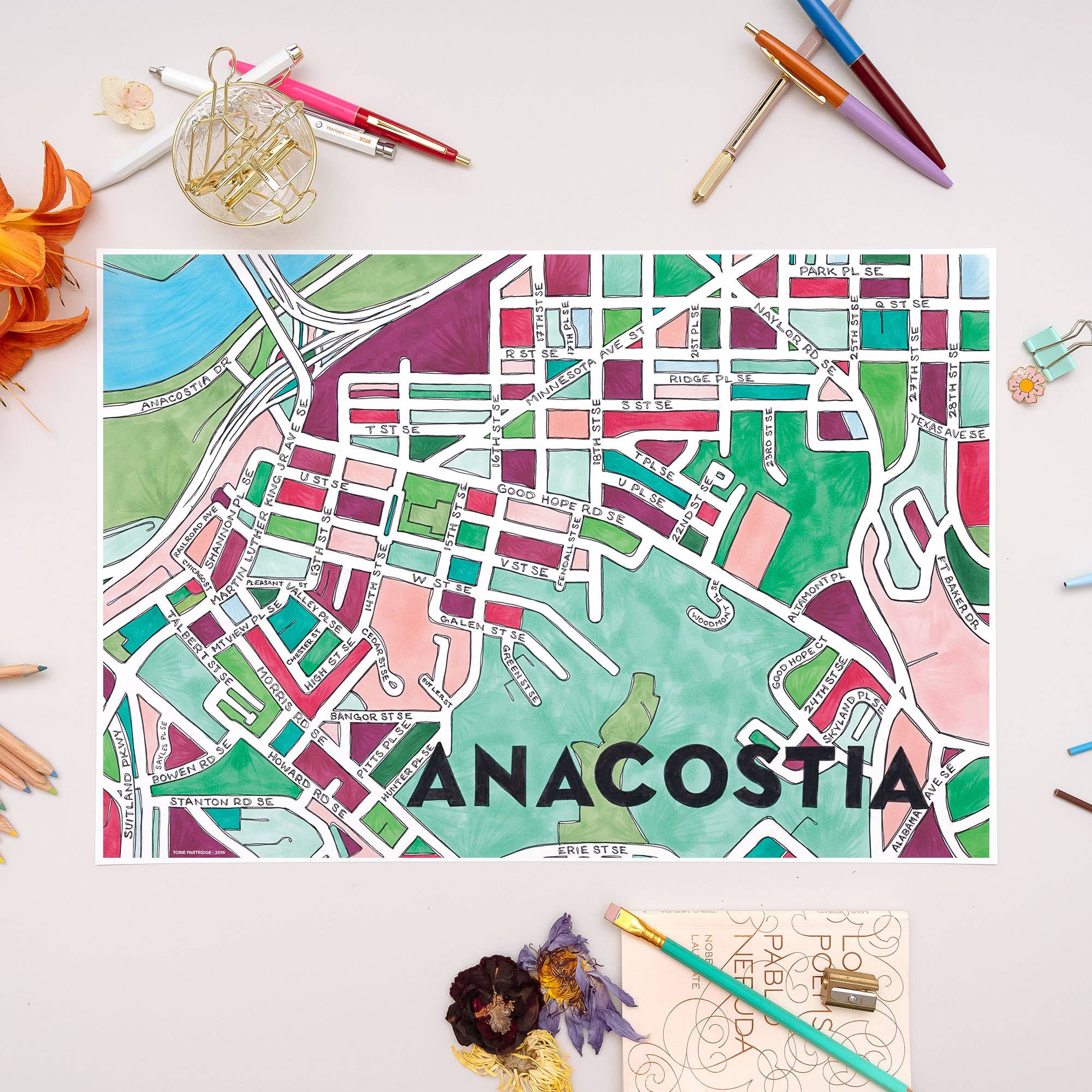 Anacostia Map Art Print