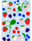 Oops All Berries Iron On Sheet Set