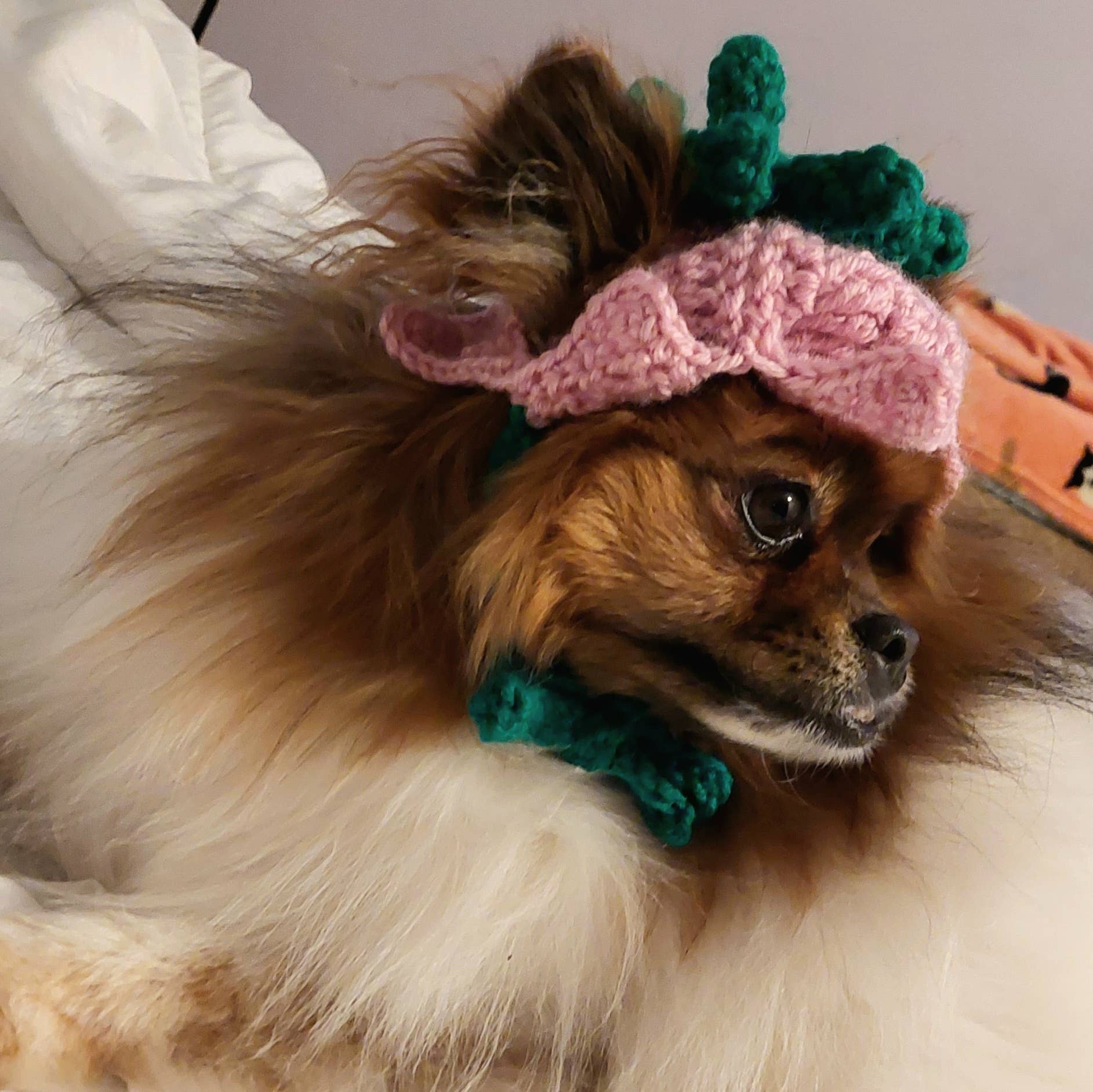 Crochet Tulip Hat - Cat Bonnet - Pet Hat