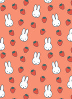 All Wrapped Up: Miffy Blank Note Cards