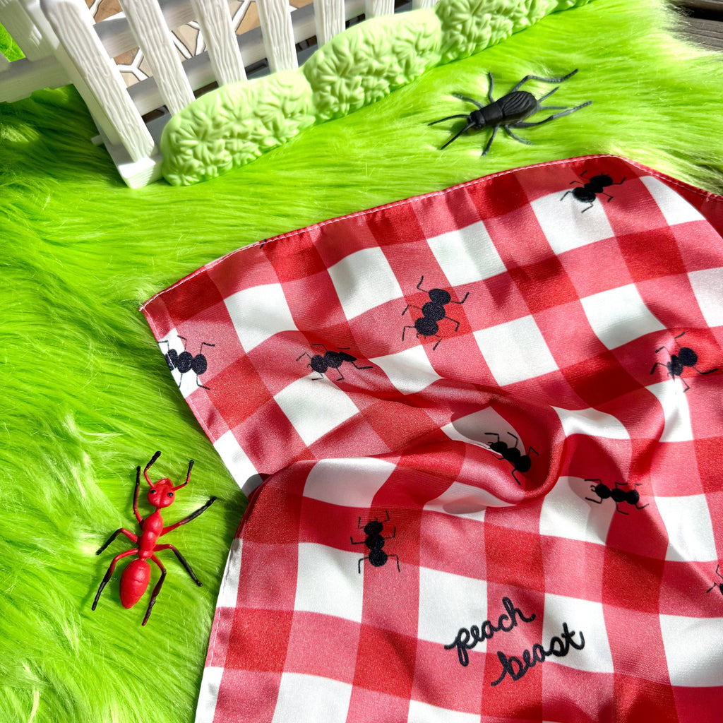 Picnic Satin Scarf