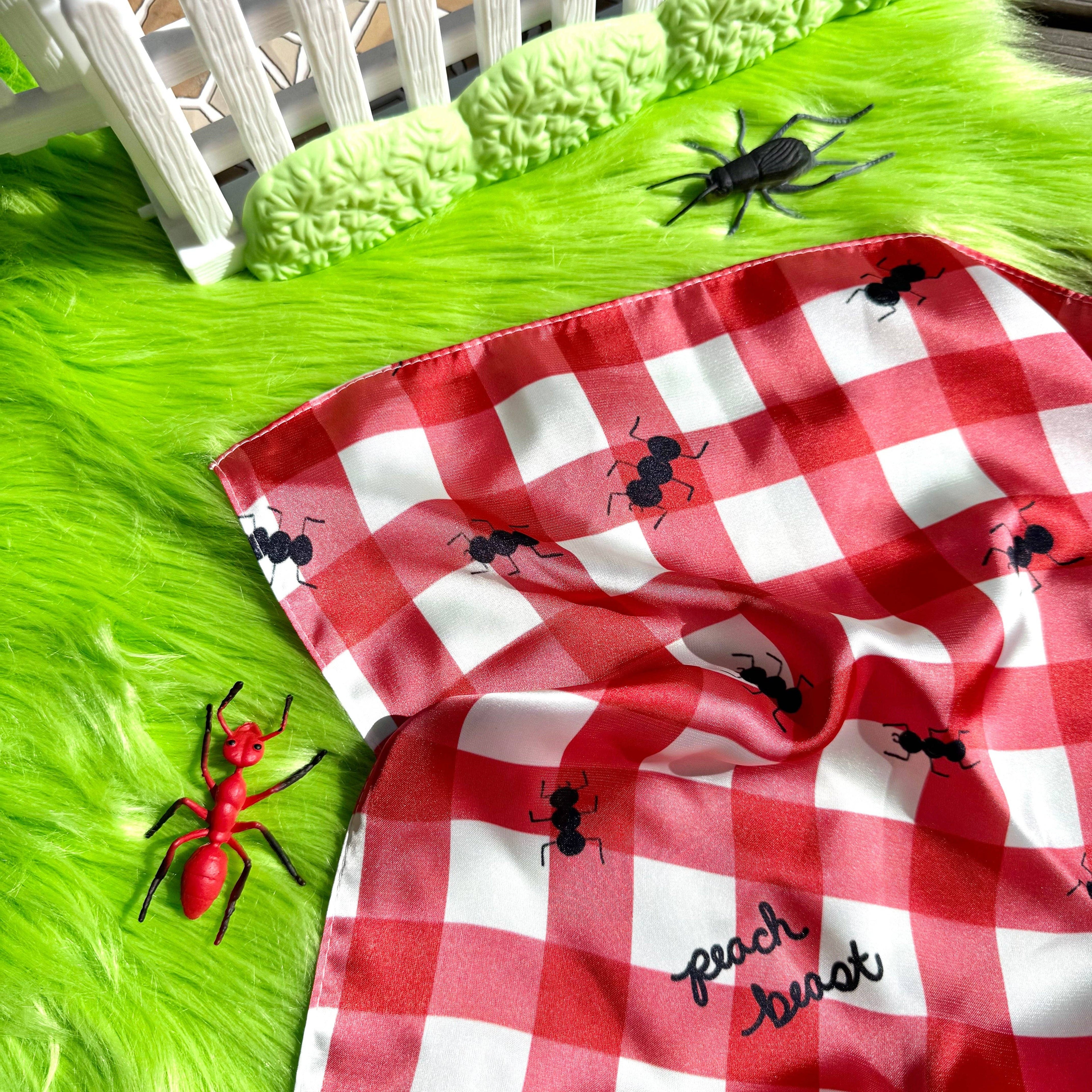 Picnic Satin Scarf