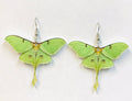 Acrylic Luna Moth Earrings Transformation, Regeneration gift