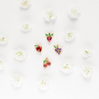 Fruit Basket Stud Set
