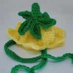 Crochet Tulip Hat - Cat Bonnet - Pet Hat