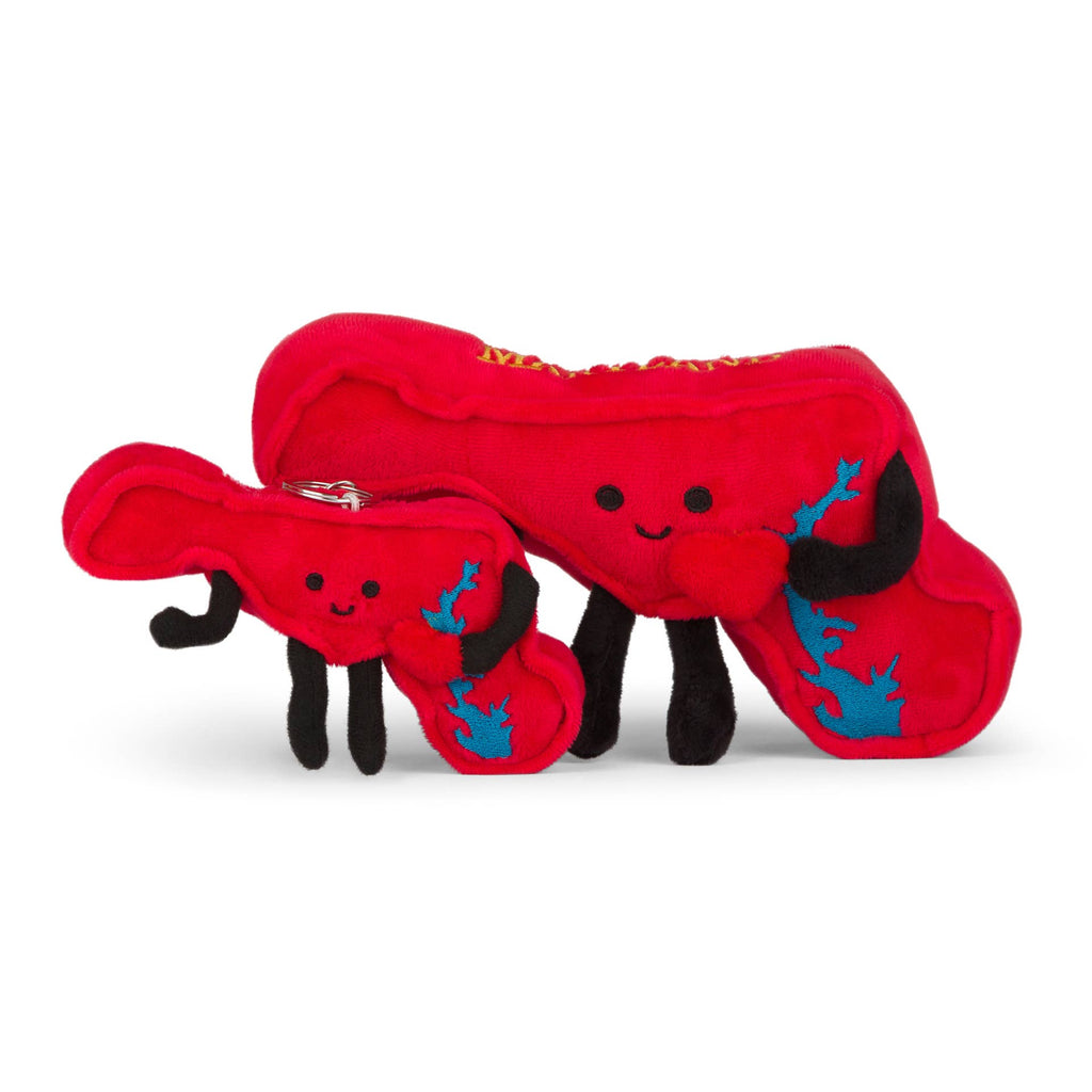 Maryland Plush Bag Charms/ Keychains -Chesapeake Bay