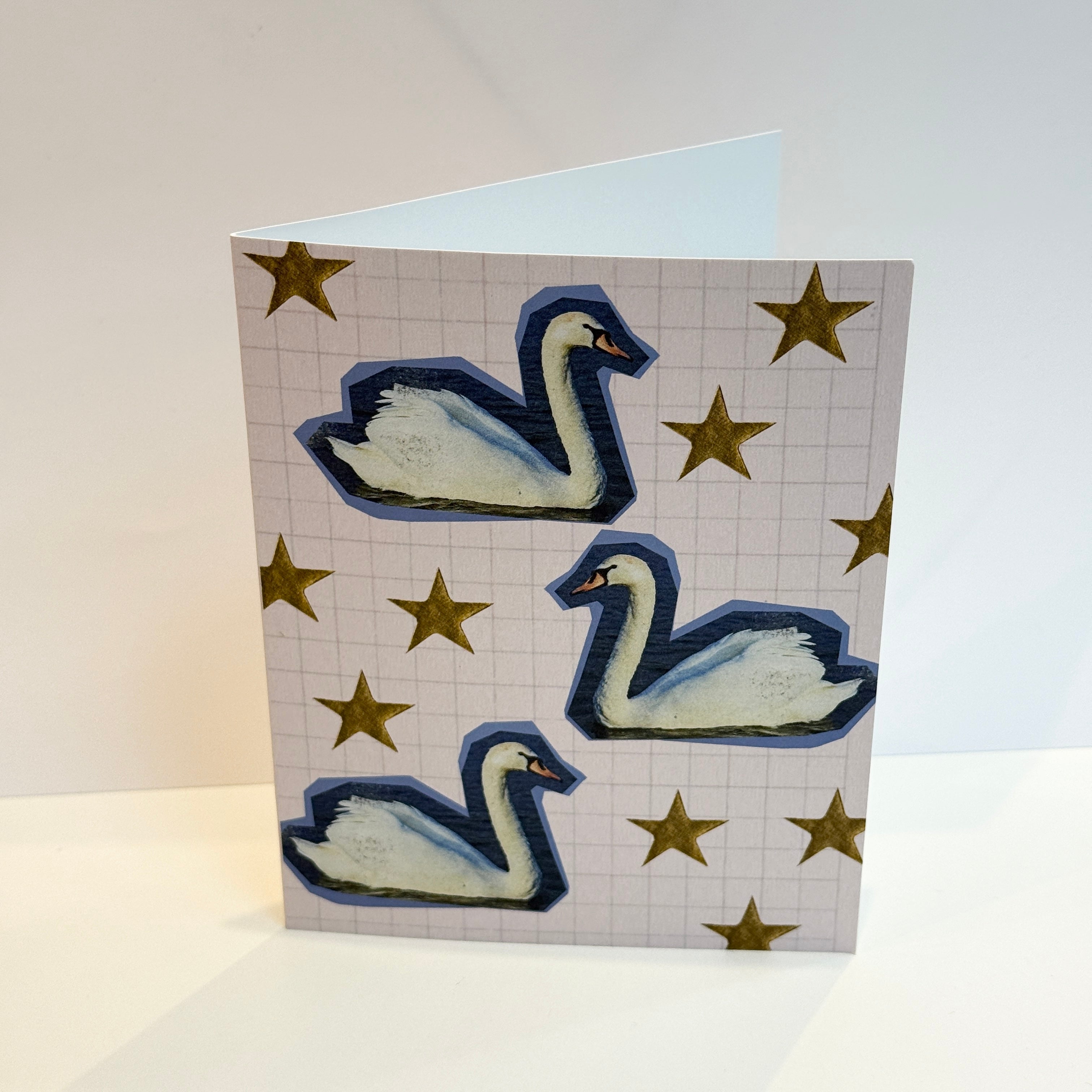 Swans Greeting Card