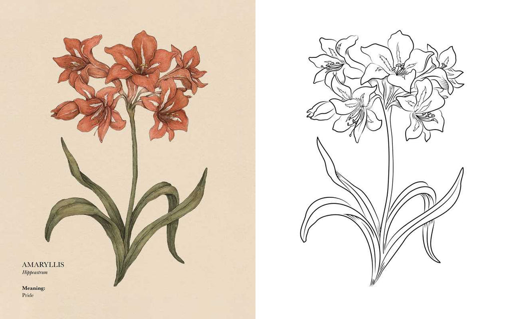 Floriography Coloring Book