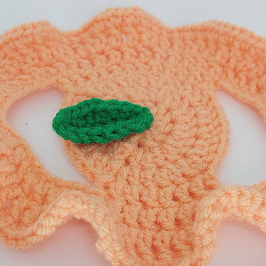 Crochet Peach Hat - Cat Bonnet - Pet Hat