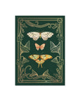 Flutter Everyday Greeting Card with Butterflies and Moths