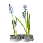 Flower Frog for Vases - Stainless Steel Flower Arranger
