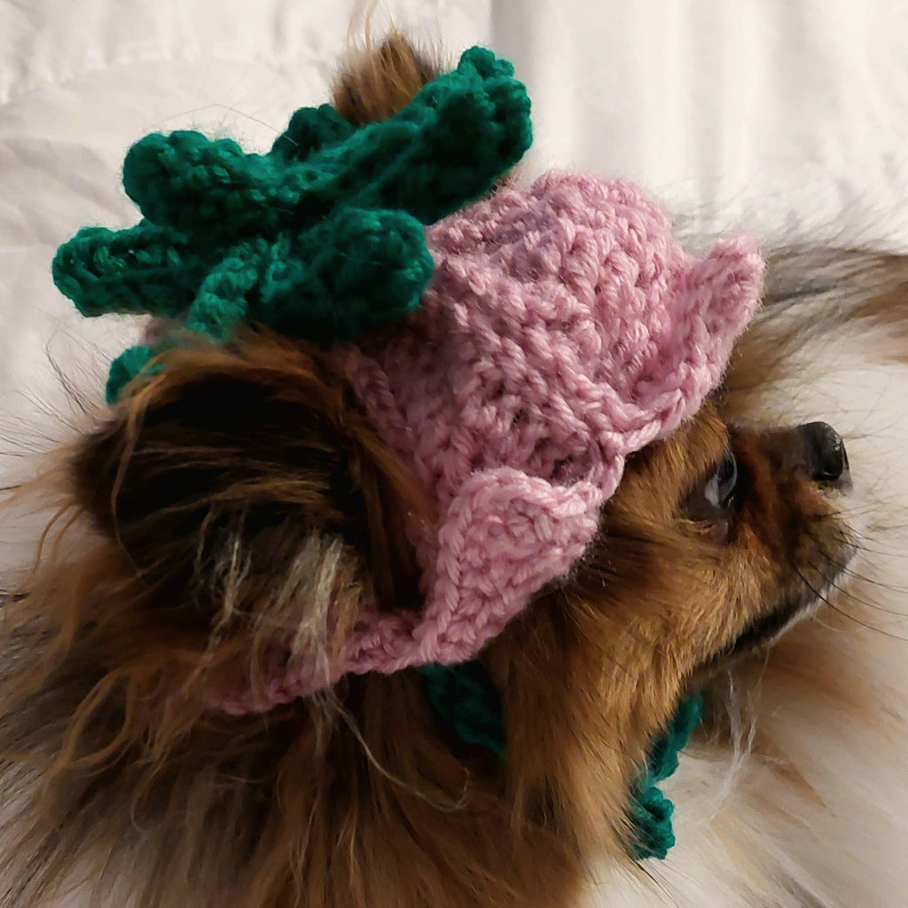 Crochet Tulip Hat - Cat Bonnet - Pet Hat