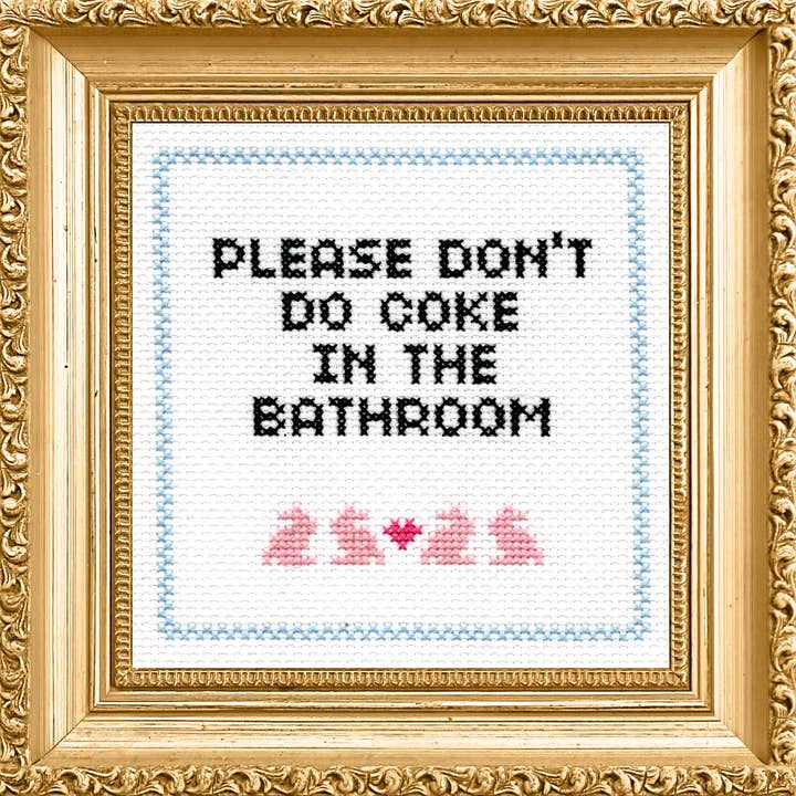 Please Don't Do Coke in the Bathroom Cross Stitch Kit