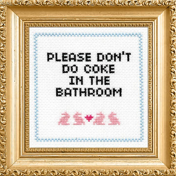 Please Don't Do Coke in the Bathroom Cross Stitch Kit