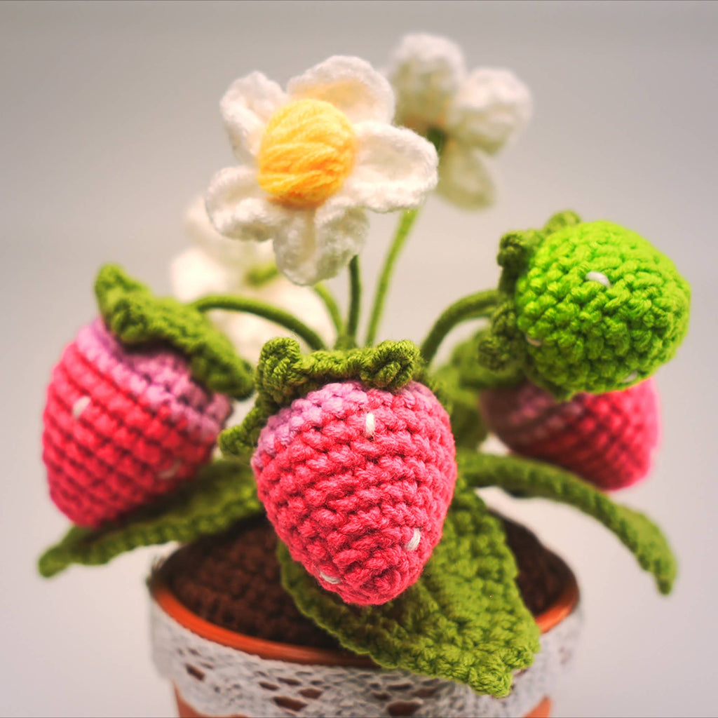Crochet Small Strawberry Pot