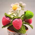 Crochet Small Strawberry Pot