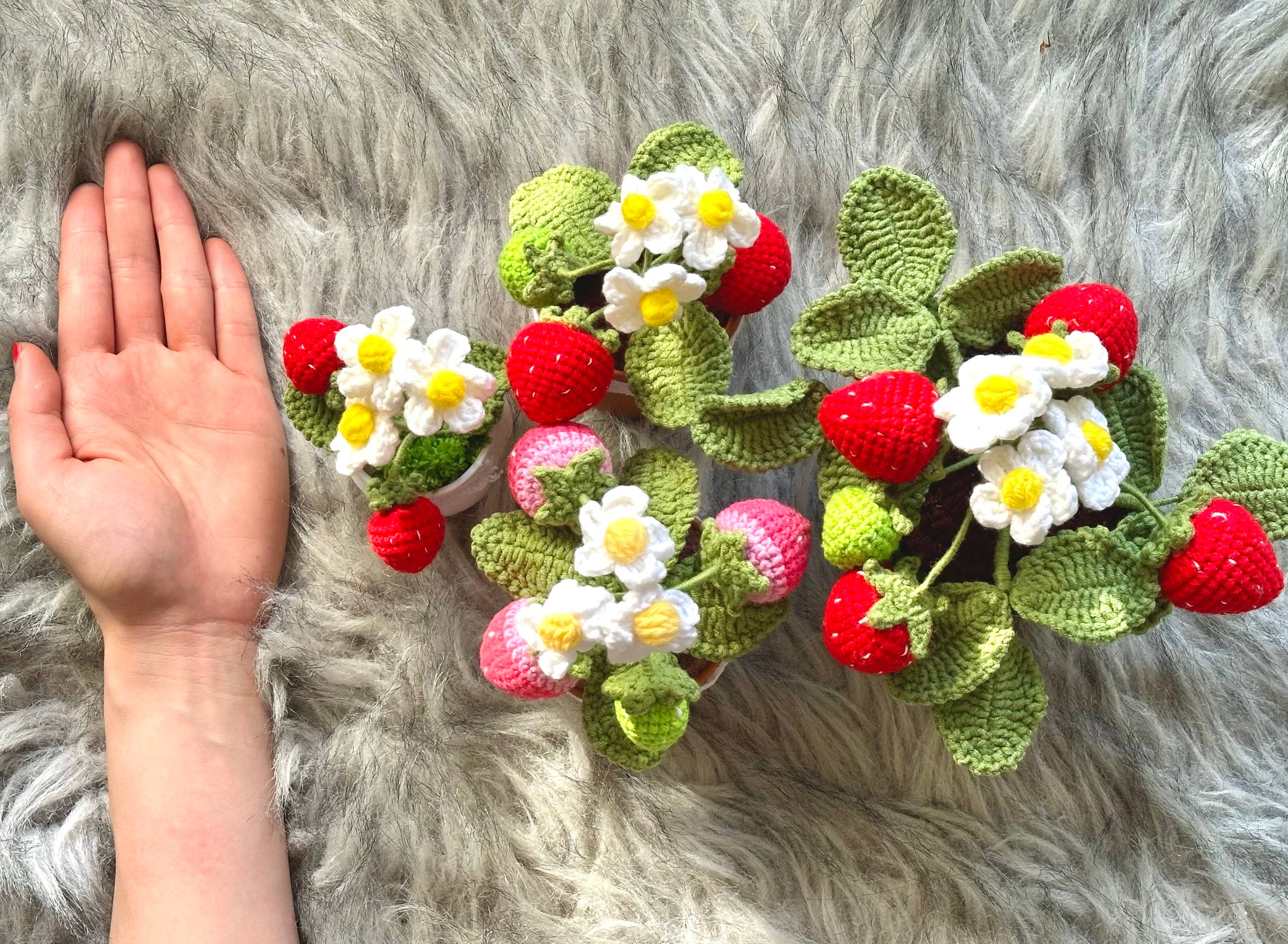 Crochet Small Strawberry Pot