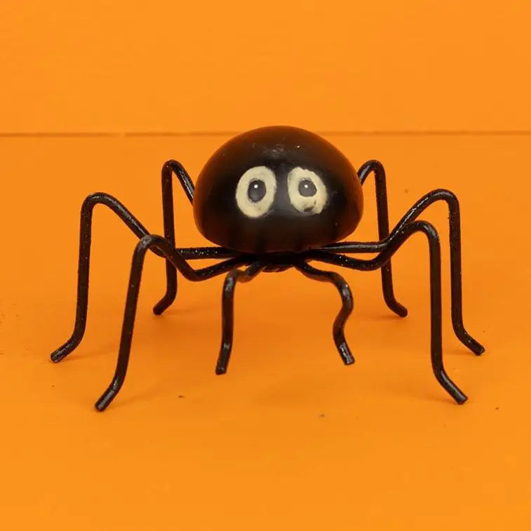 Night Glow-Eyed Spider