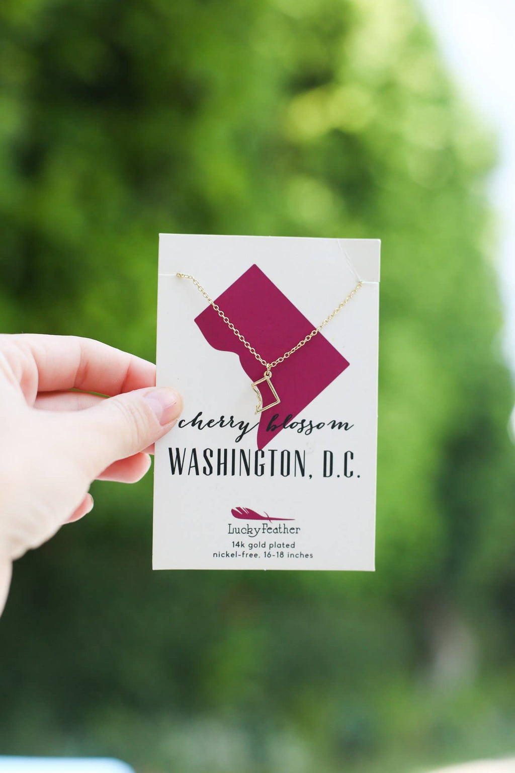 State Necklace - Gold - WASHINGTON DC