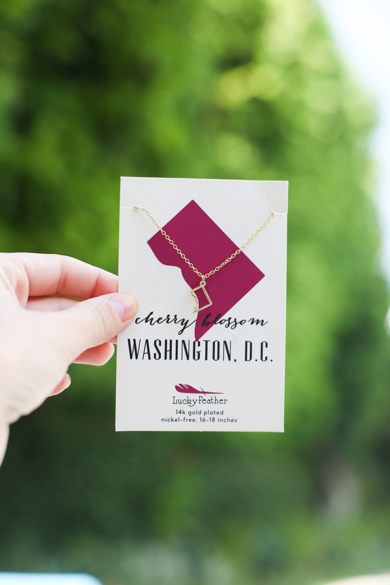 State Necklace - Gold - WASHINGTON DC