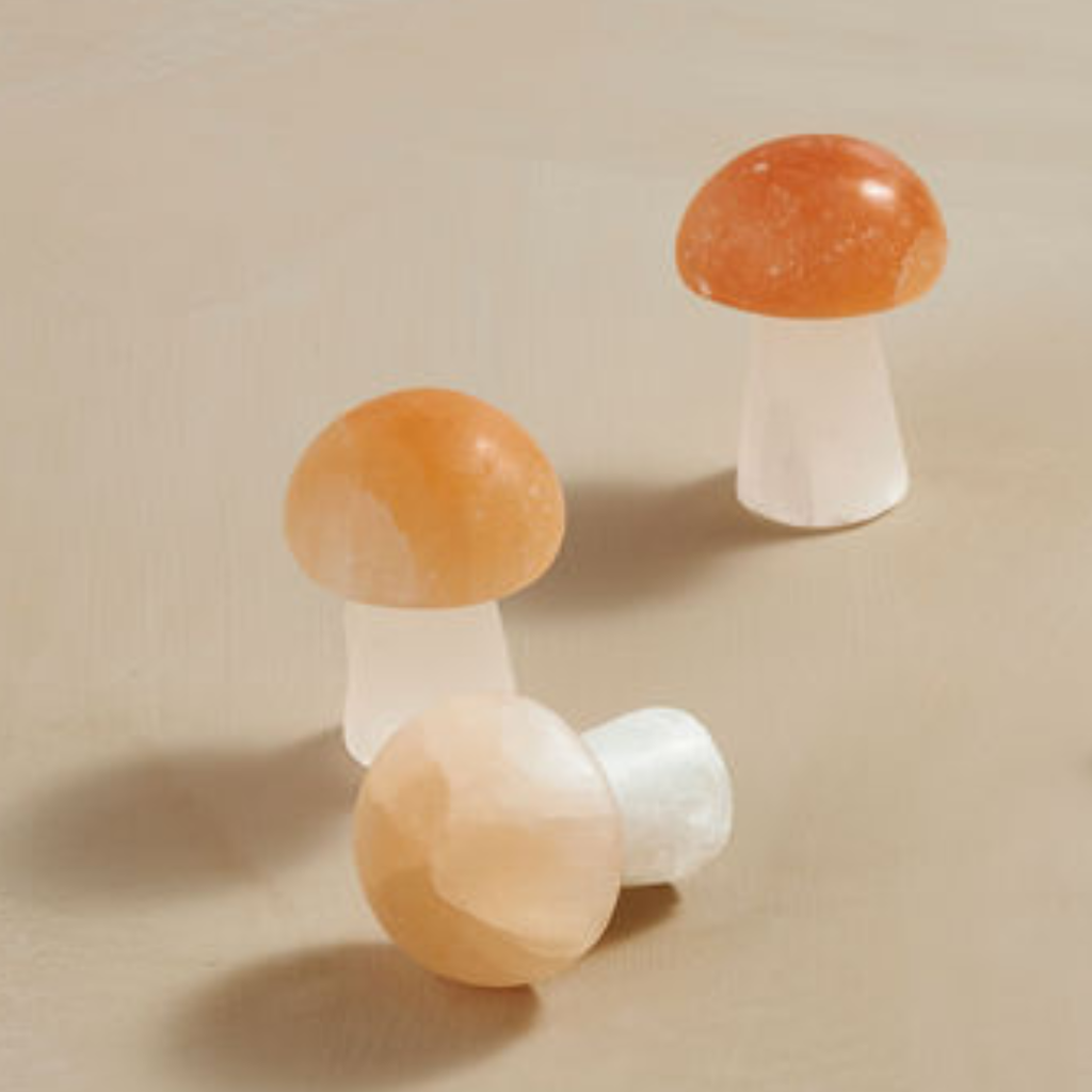 Selenite Mushroom 🍄