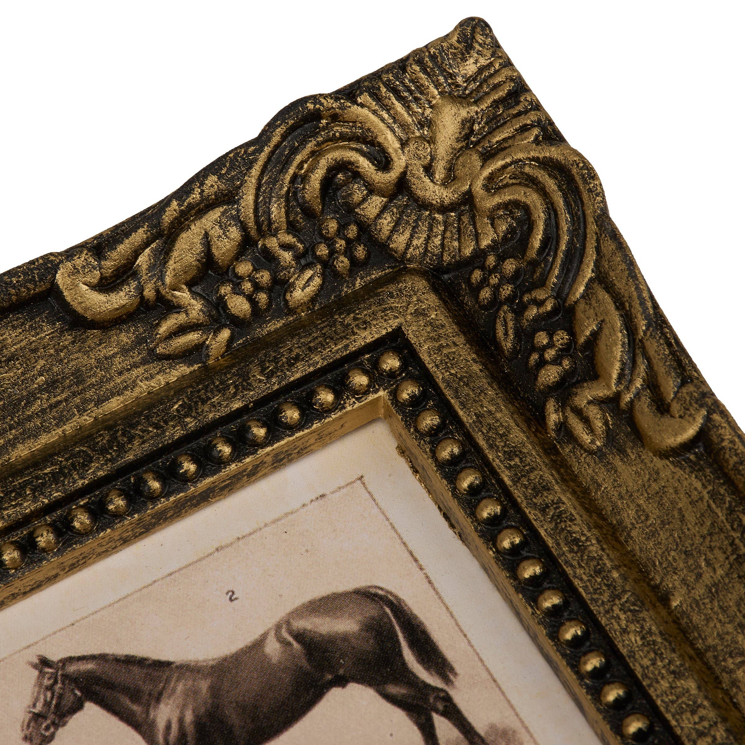 Horse Breeds Framed Wall Art