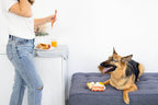 Barkfast Dog Toys, Set of 3