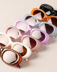 Women's Rounded  Bold Frame Tinted Sunglasses