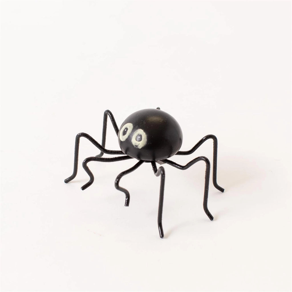 Night Glow-Eyed Spider