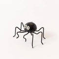 Night Glow-Eyed Spider