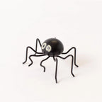 Night Glow-Eyed Spider