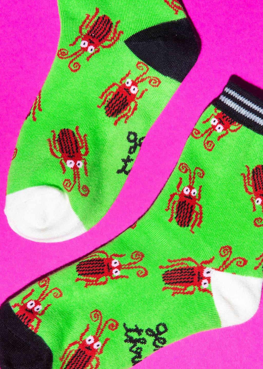 Cockroach socks