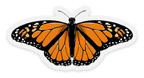 Clear Monarch Butterfly Sticker, 3x1.5 in.