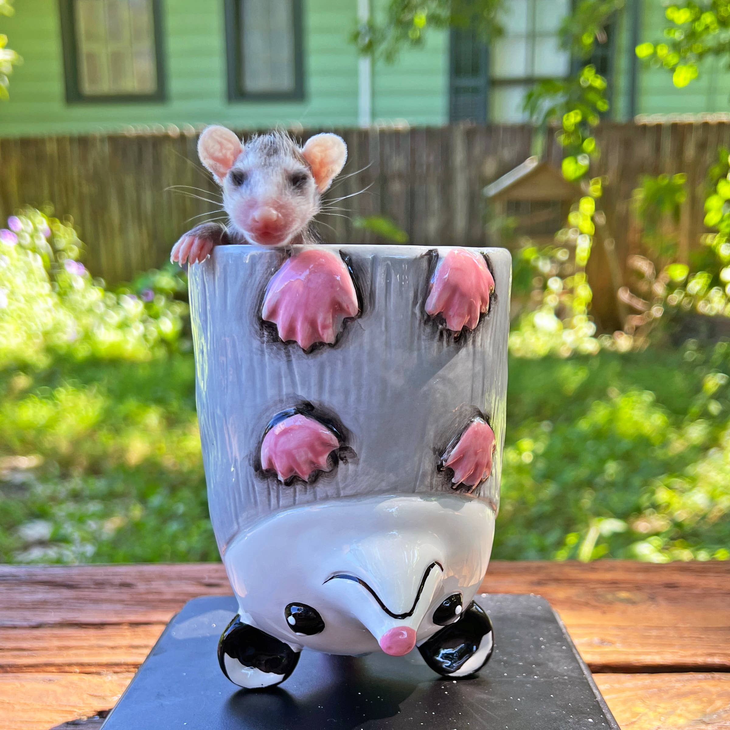Upside-Down Opossum Mug!