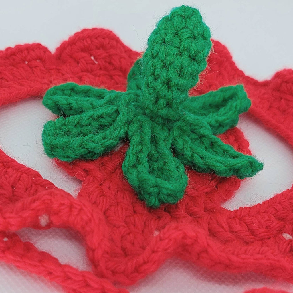 Crochet Strawberry Hat - Cat Bonnet - Pet Hat
