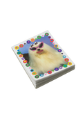 Diva sticky memo pad