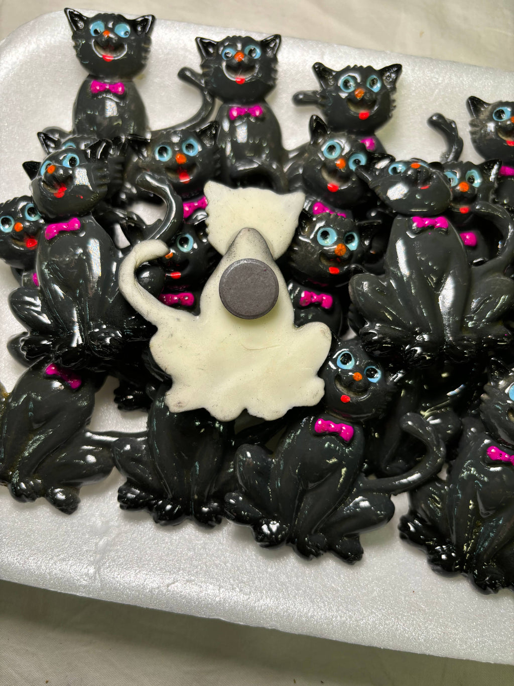 Cat Kitchen Magnet