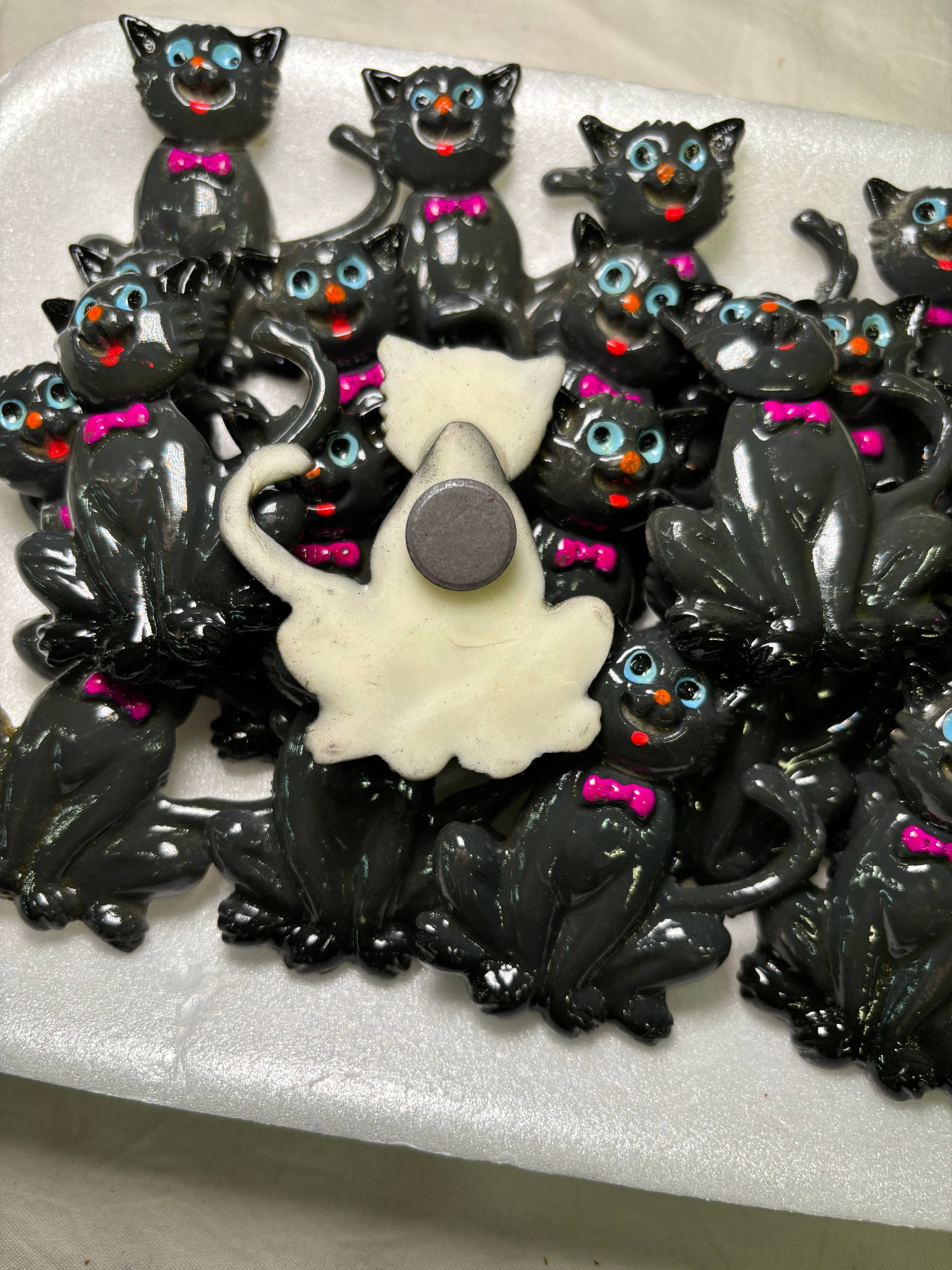 Cat Kitchen Magnet