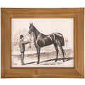 Horse Sketch Framed Wall Art