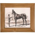 Horse Sketch Framed Wall Art