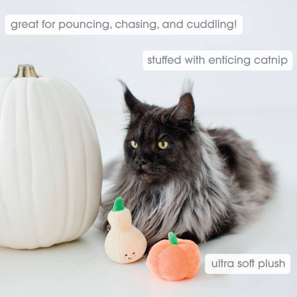 Gourds Fall Cat Toys, Set of 2
