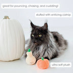 Gourds Fall Cat Toys, Set of 2