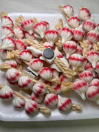 Garlic On Rope Kitchen Magnet