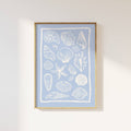 Seashells Light Blue Print