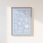 Seashells Light Blue Print