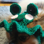 Crochet Frog Hat - Cat Hat - Pet Hat - Made to order