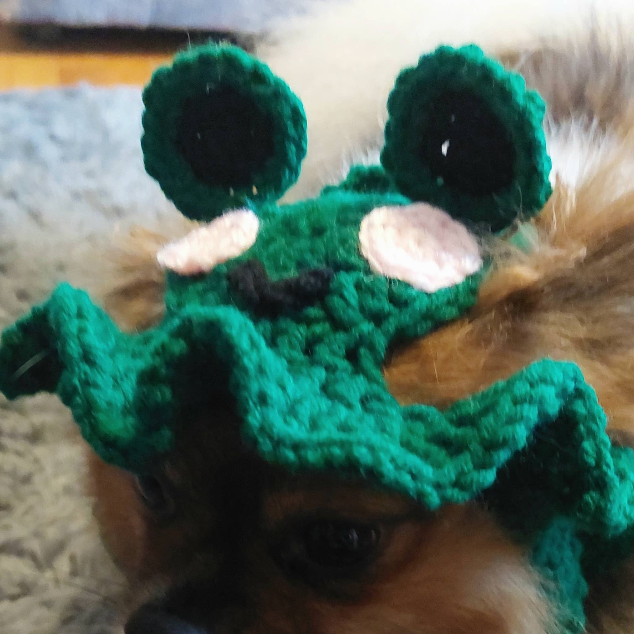 Crochet Frog Hat - Cat Hat - Pet Hat - Made to order