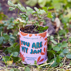 Complimentary Color Grow Kits