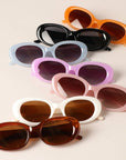 Women's Rounded  Bold Frame Tinted Sunglasses